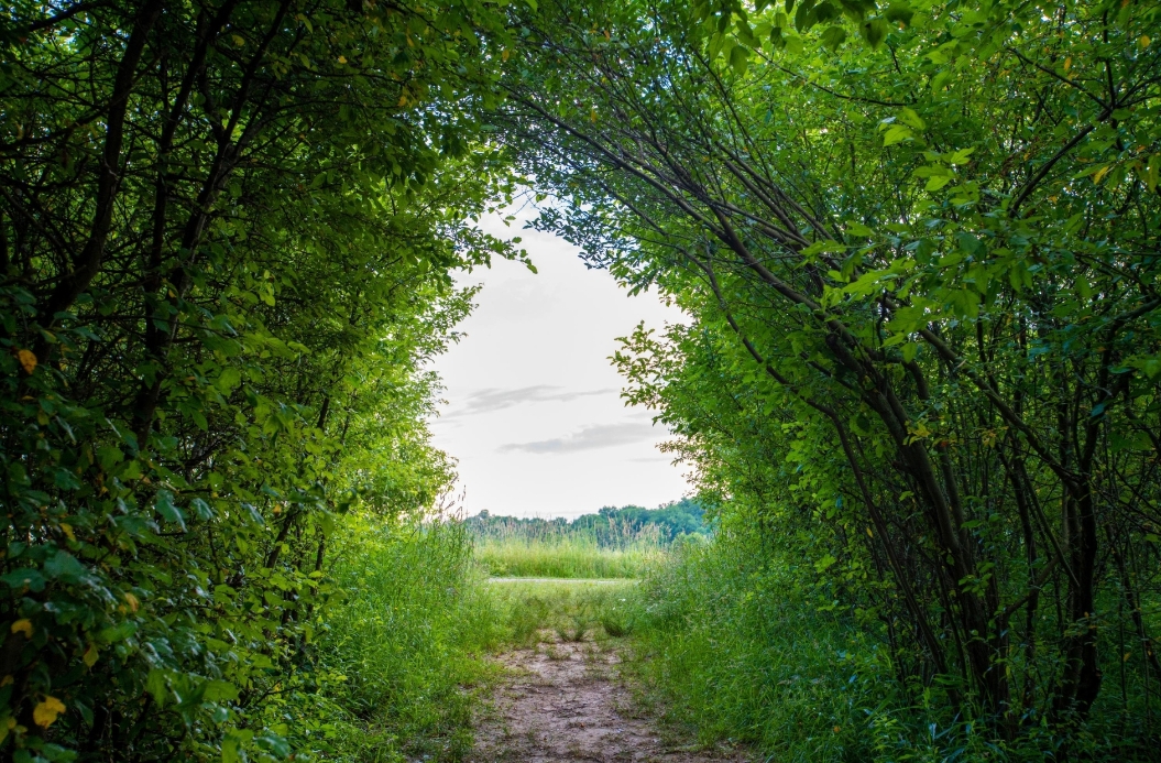Bath_Photos_31 - Copy - Copy - Copy